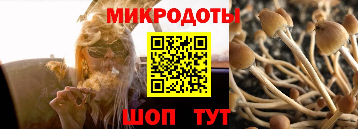 Галлюциногенные грибы мицелий Подольск