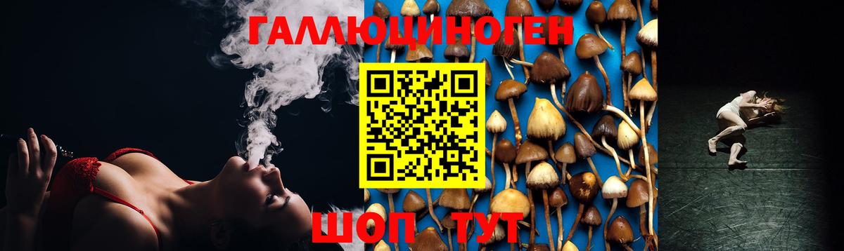 Псилоцибиновые грибы прущие грибы  Вход с VPN  где можно купить наркотик  Псилоцибиновые грибы MAGIC MUSHROOMS  Подольск 