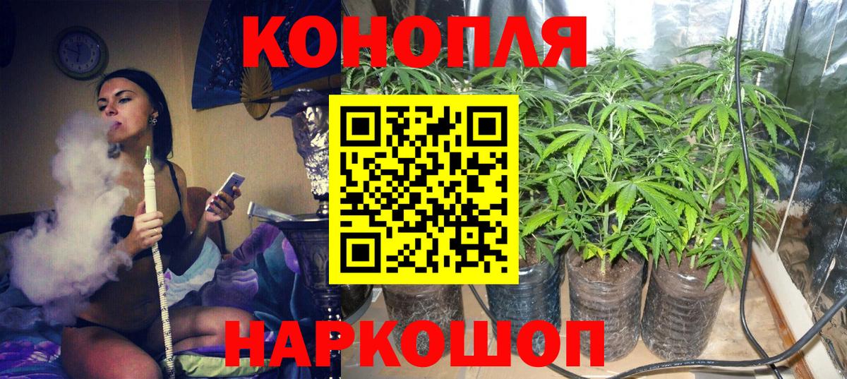 Бошки марихуана MAZAR  Бошки Шишки LSD WEED  Вход с VPN  Подольск 